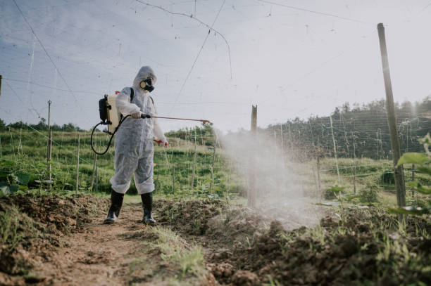 Best Ant Control Services  in Canton, SD