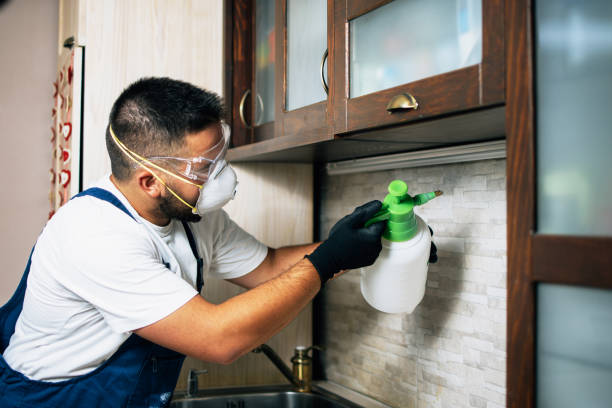 Best Exterminator Services  in Canton, SD