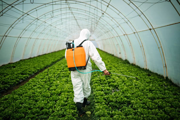 Best Pest Control Cost  in Canton, SD