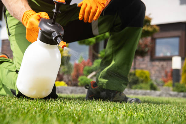 Best Local Pest Control Services  in Canton, SD
