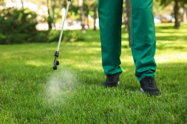 Best Residential Pest Control  in Canton, SD