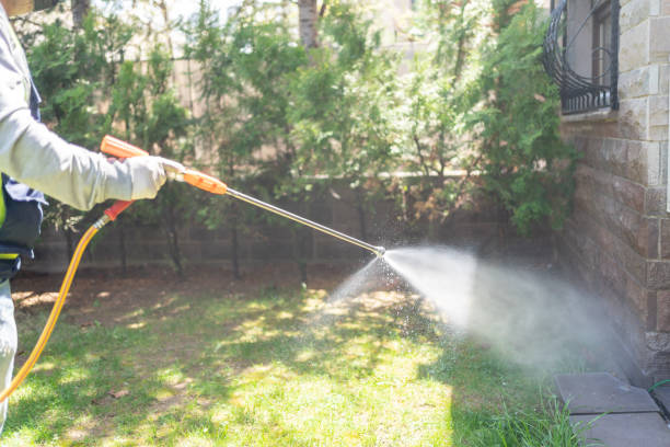 Best Affordable Pest Control Services  in Canton, SD