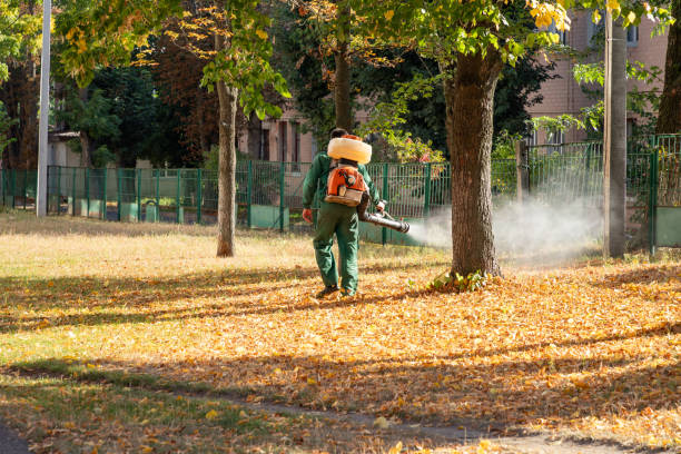 Professional Pest Control in Canton, SD