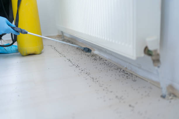 Best Best Pest Control Companies  in Canton, SD