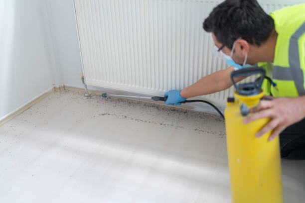 Best Pest Control Treatment  in Canton, SD