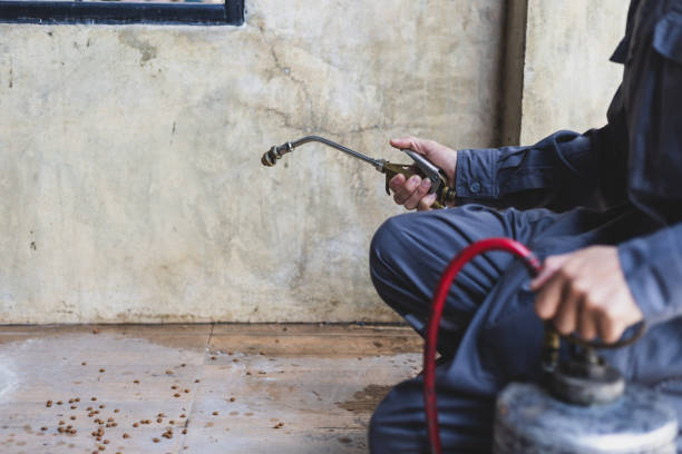 Best Wasp Removal Services  in Canton, SD